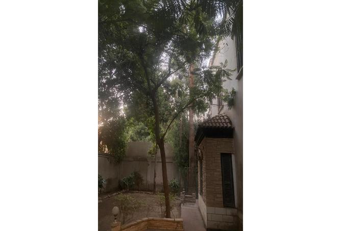 52447324 - Property Image 2