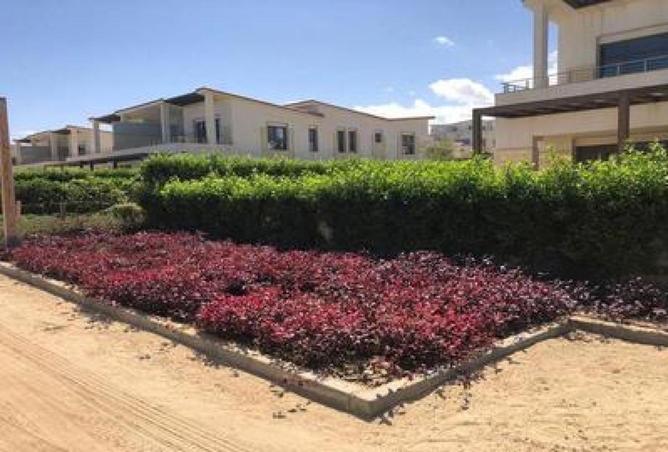 91002895 - الصورة الرئيسية للعقار