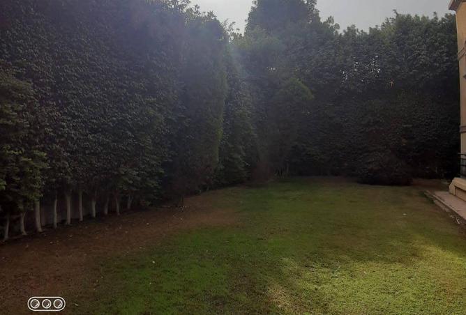 83142728 - Property Image 2