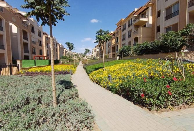 70361741 - Property Image 2