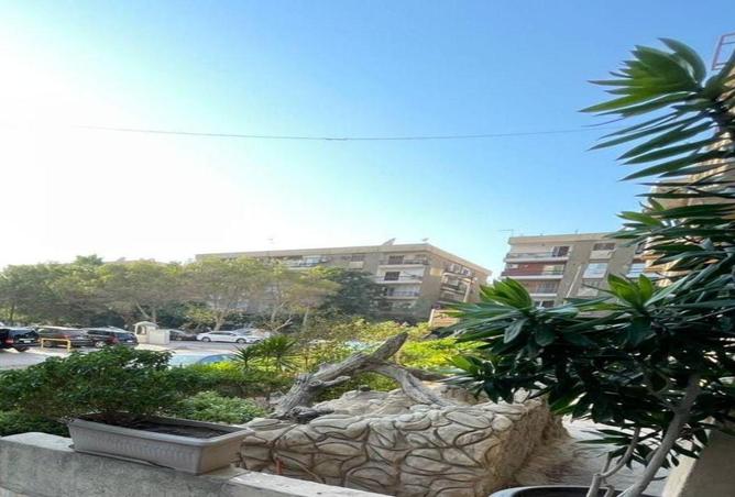 62410329 - Property Image 3