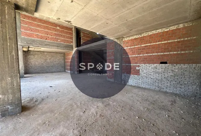110753151 - Property Image 2