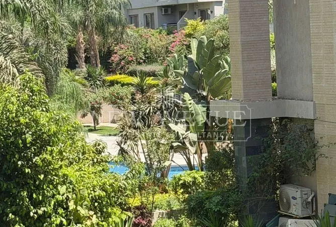 113257490 - Property Image 2
