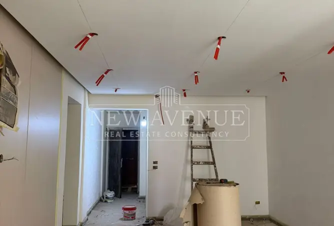 113257490 - Property Image 3