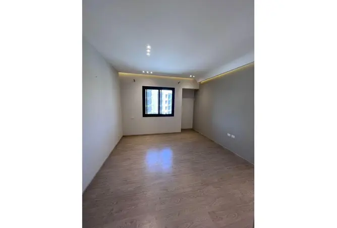 116222877 - Property Image 3