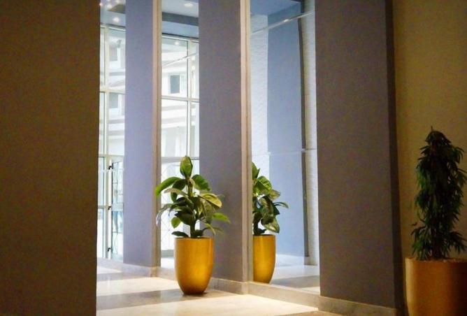 8657678 - Property Image 3