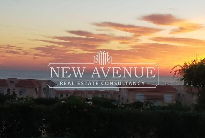 64390905 - Property Image 3