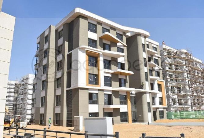 76238367 - Property Image 3