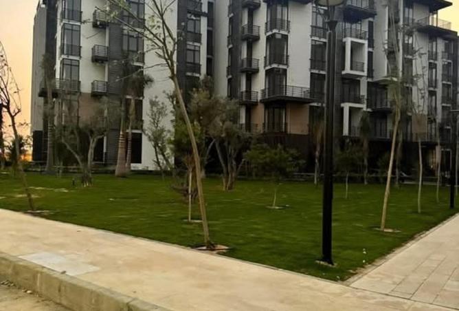 8545394 - Property Image 3