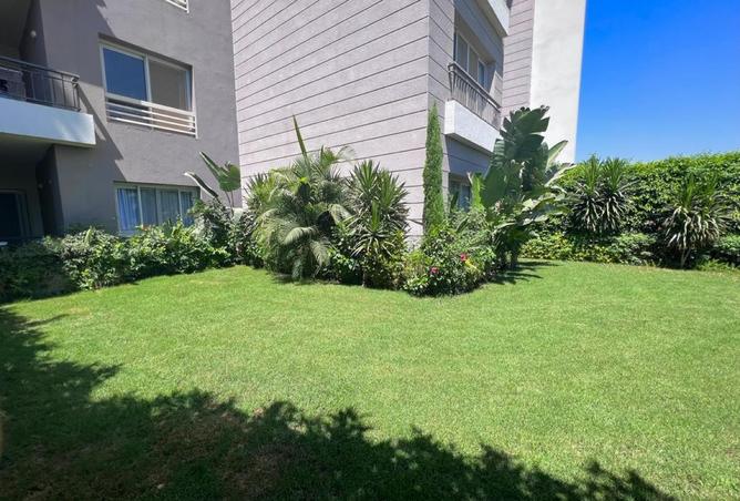 96857382 - Property Image 2