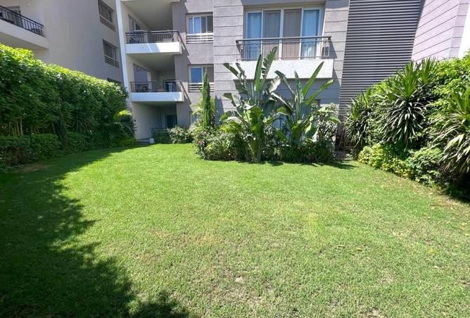 96857382 - Property Image 3