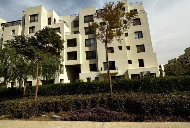 58250562 - Property Image 3