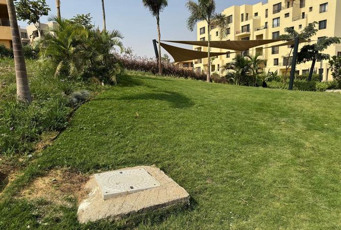 71908670 - صورة العقار 2