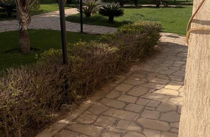 Apartment - 2 Bedrooms - 2 Bathrooms for rent in B11 - Madinaty - Cairo