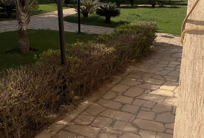 98832610 - صورة العقار 2