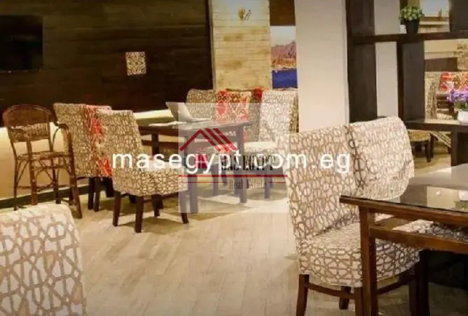 117521526 - Property Image 2
