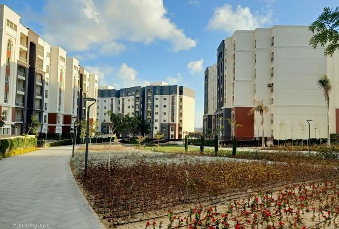 52719709 - Property Image 3