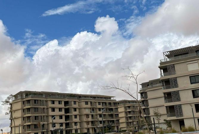 62174151 - صورة العقار 3