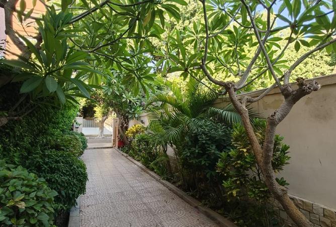 91580785 - صورة العقار 3
