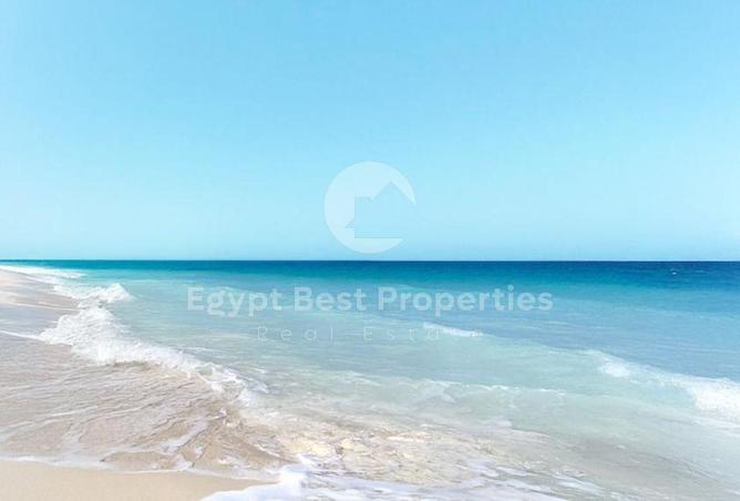 108798733 - Property Image 3