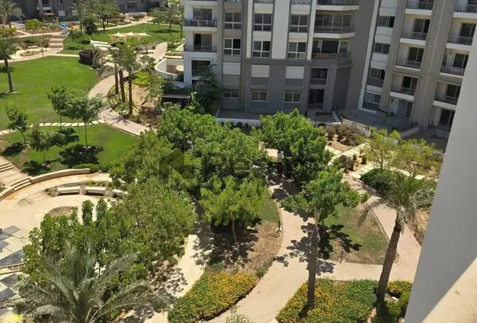 117266658 - صورة العقار 3