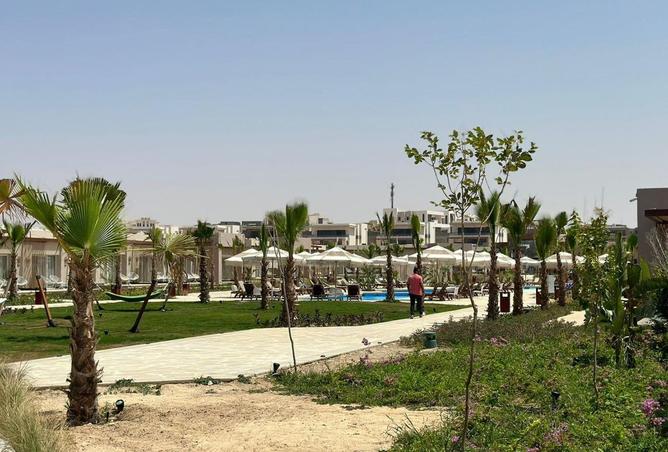 100650082 - صورة العقار 2