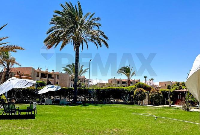 107691207 - صورة العقار 2