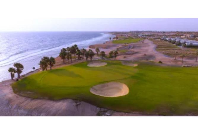 63145129 - صورة العقار 3