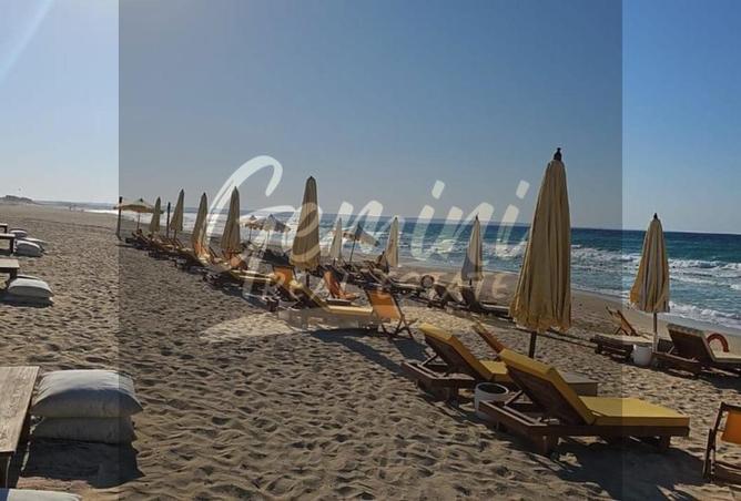 101783490 - صورة العقار 3