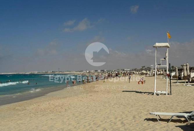 99118370 - صورة العقار 3