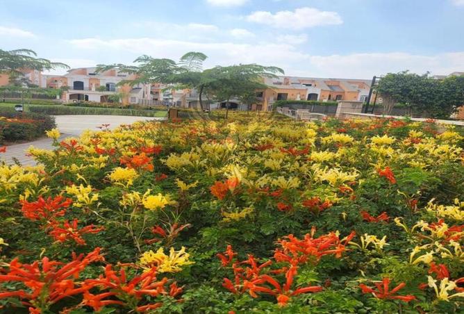 8595097 - Property Image 3