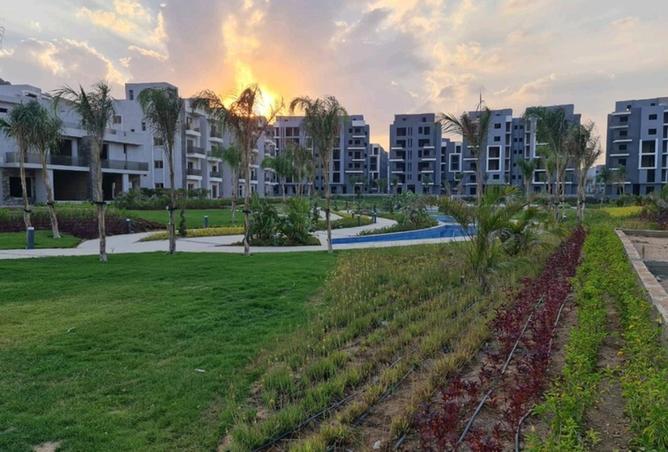 66169511 - صورة العقار 2