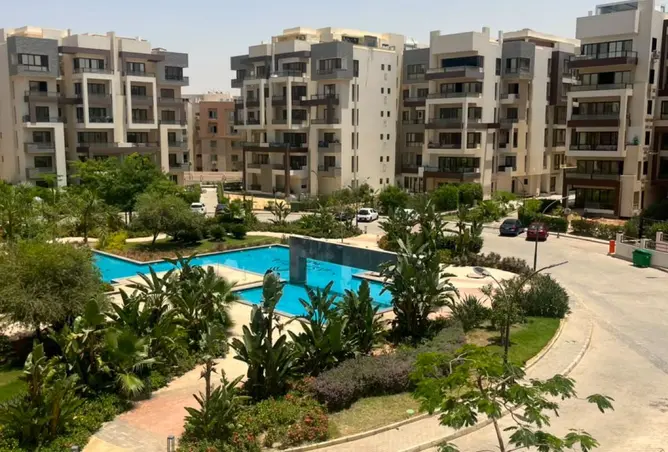 114626236 - Property Image 3