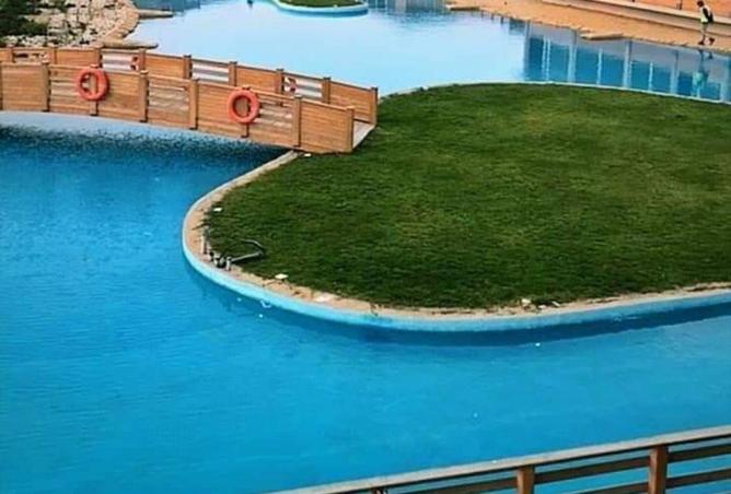 55997497 - Property Image 2