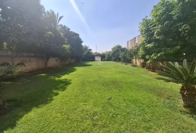 111610537 - Property Image 3