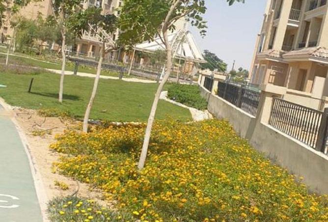 54232518 - صورة العقار 3