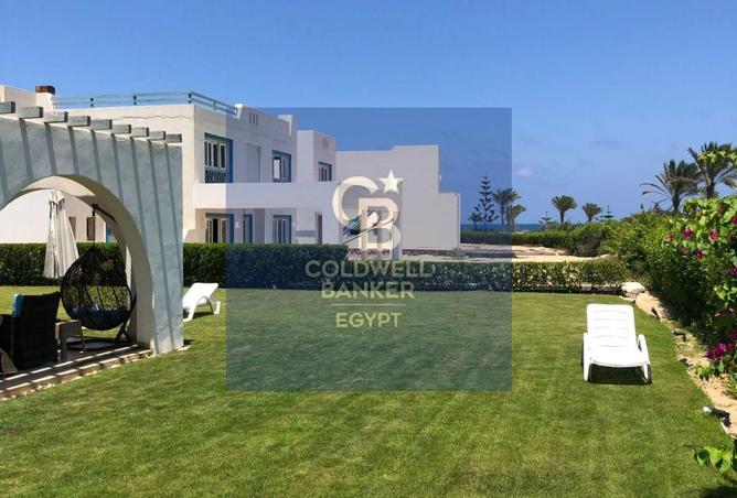 65158452 - Property Image 3