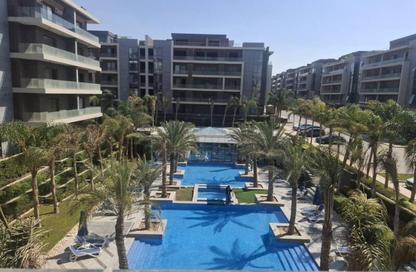 Apartment - 3 Bedrooms - 3 Bathrooms for sale in El Patio Oro - 5th Settlement Compounds - The 5th Settlement - New Cairo City - Cairo Apartment - 3 Bedrooms - 3 Bathrooms for sale in El Patio Oro - 5th Settlement Compounds - The 5th Settlement - New Cairo City - Cairo