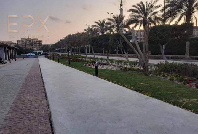 8686020 - صورة العقار 2