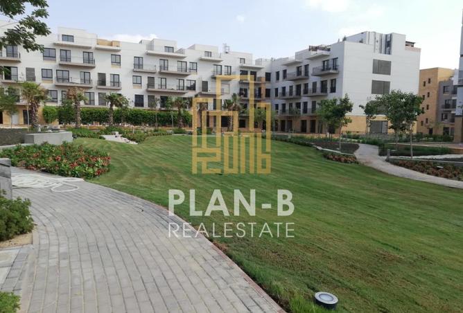 8557917 - Property Image 3