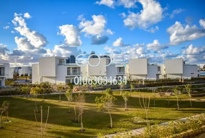 115446799 - Property Image 3