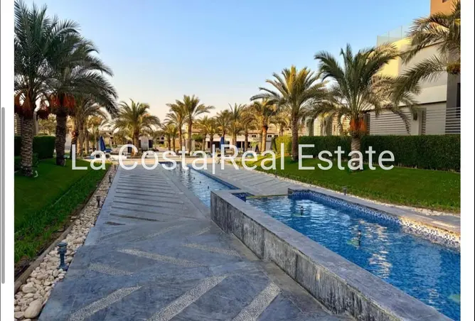 117526289 - Property Image 3