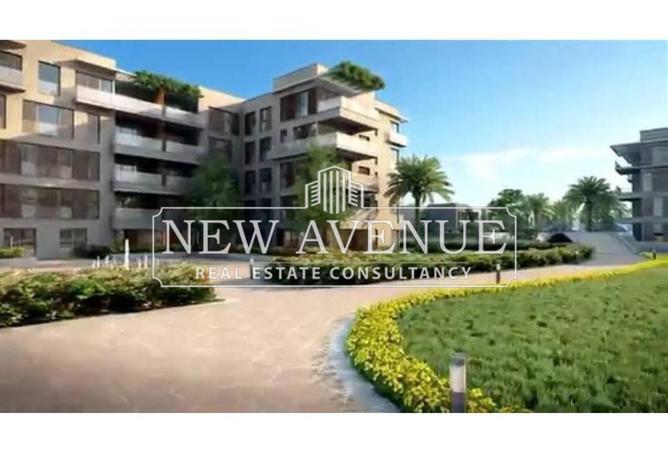 63144920 - Property Image 3