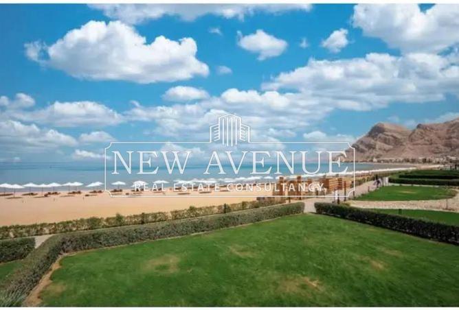 62649219 - Property Image 2