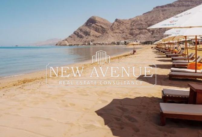 62649219 - Property Image 3