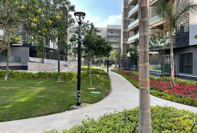 63389365 - صورة العقار 3