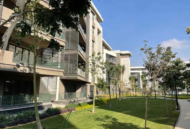 63389365 - صورة العقار 2