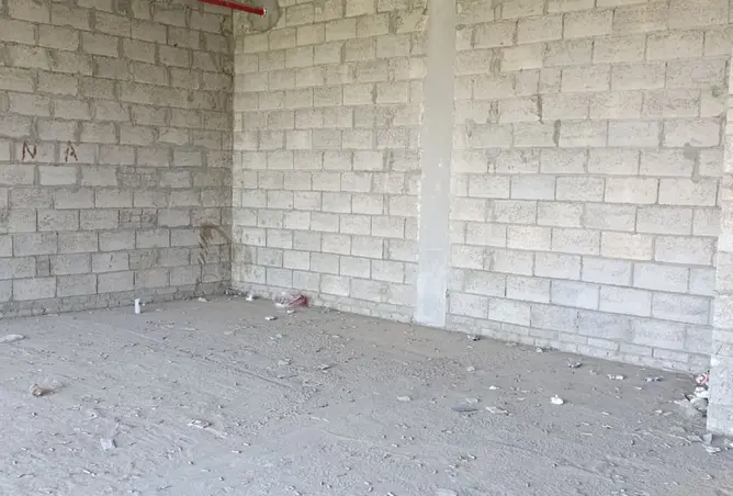112978069 - Property Image 3