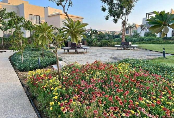 55993194 - صورة العقار 2