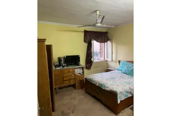 116227135 - Property Image 3
